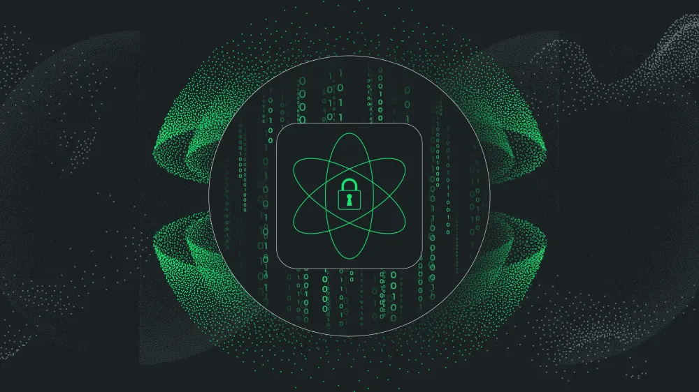 Homelab: Shadowsocks + VLESS (TCP+TLS) post image